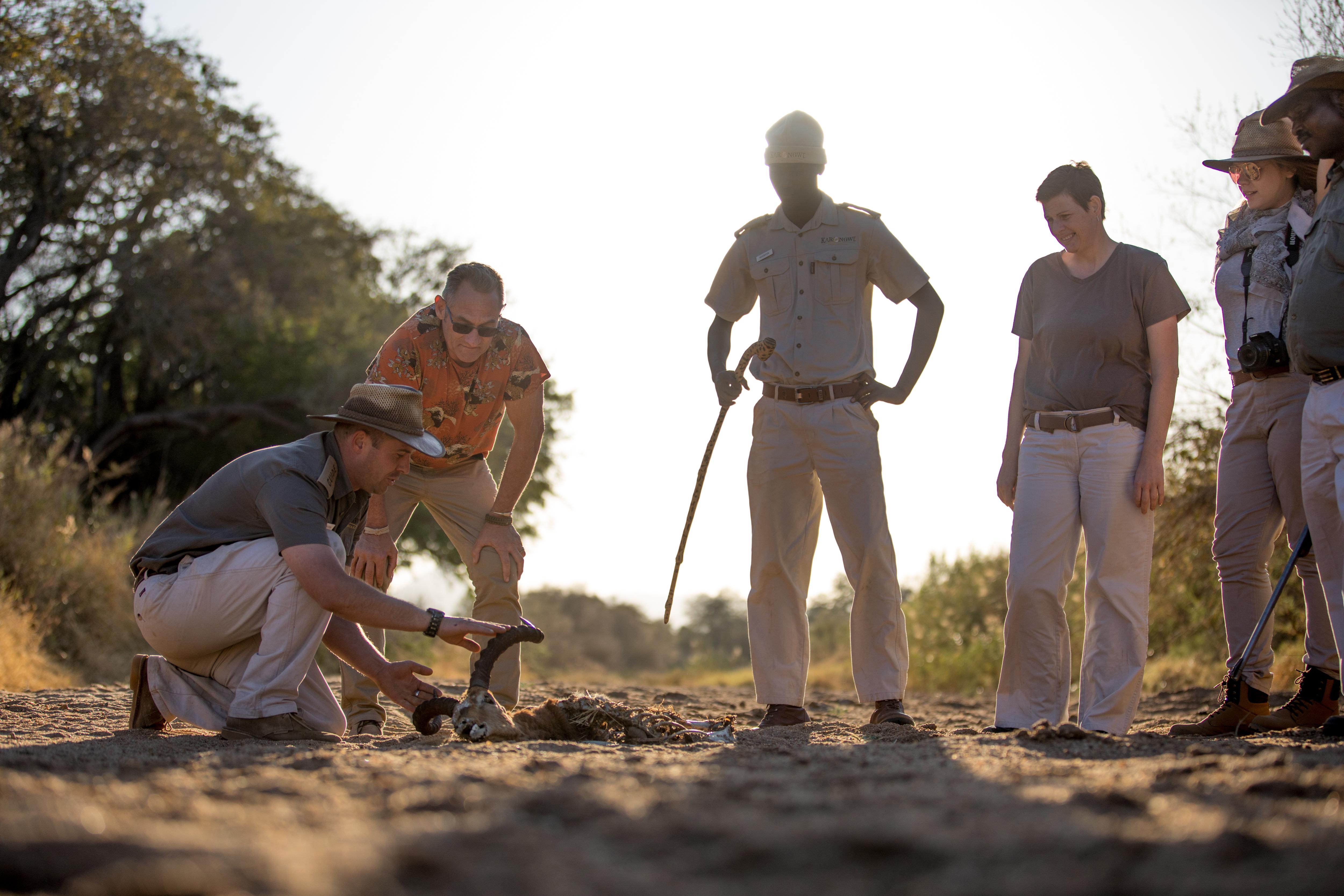 Karongwe Portfolio- Shiduli Private Game Lodge Karongwe Game Reserve Exterior photo