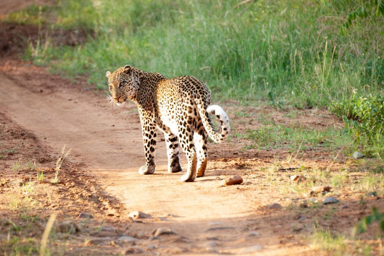 Karongwe Portfolio- Shiduli Private Game Lodge Karongwe Game Reserve Exterior photo