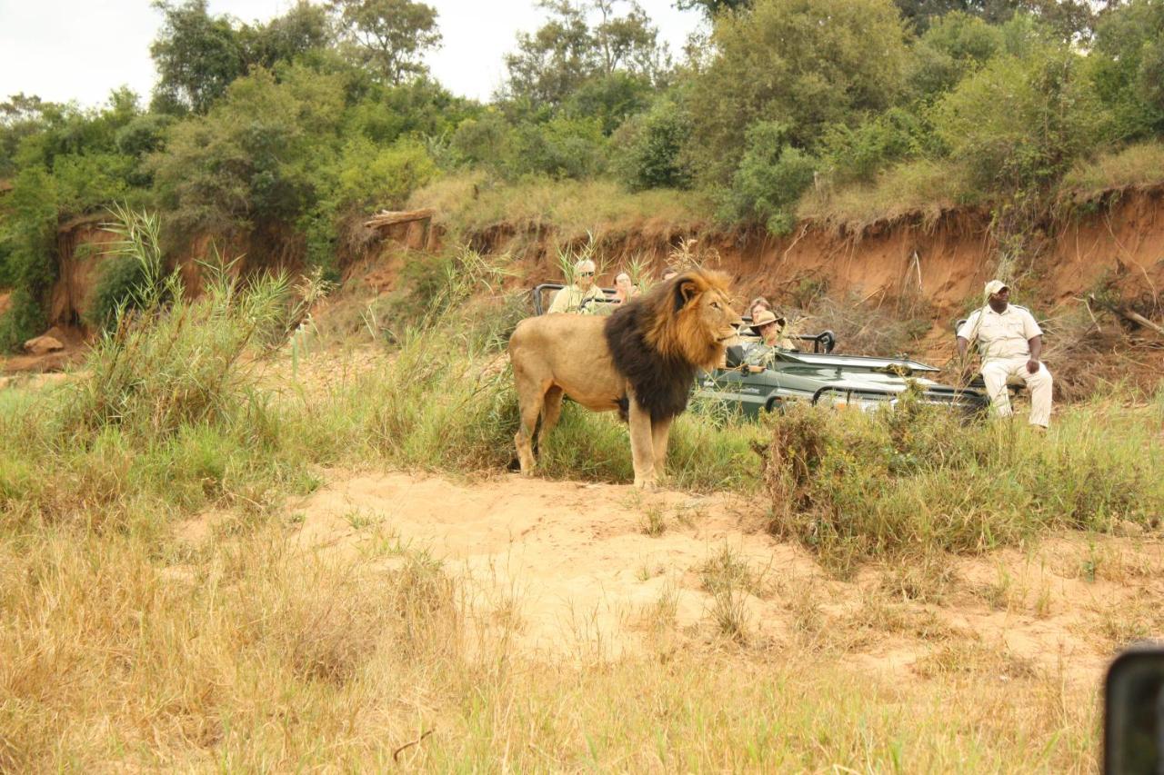 Karongwe Portfolio- Shiduli Private Game Lodge Karongwe Game Reserve Exterior photo